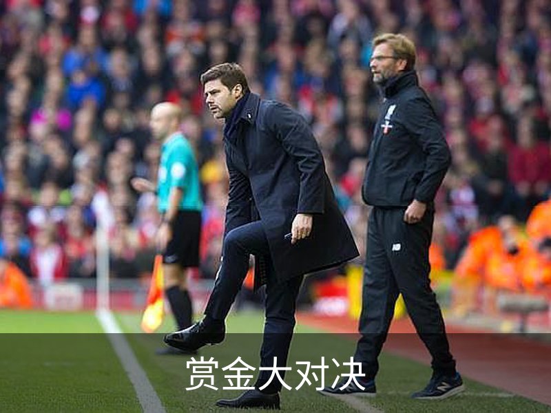 赏金大对决介绍